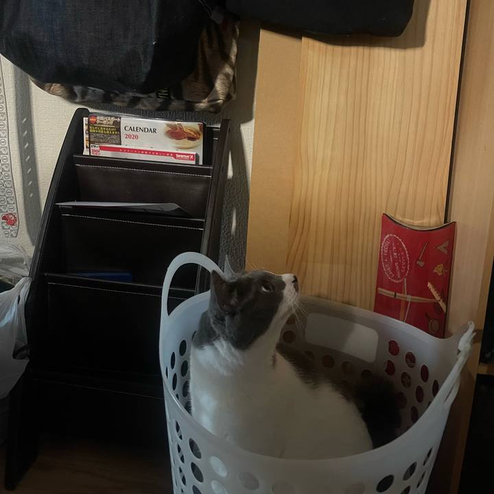 73a780e7 2555 463c 9275 cda5e48a1446 1722845399492