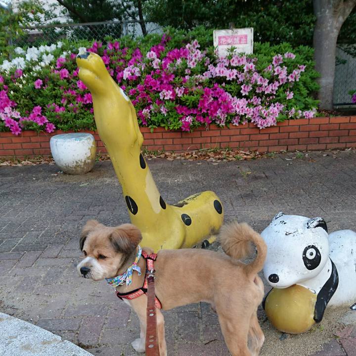 73a79ffa 5d01 4c52 b65b bfca00b037fe 1523833221006