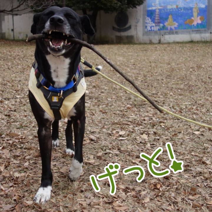 73a7da0d d732 4e3b aacf 86887b84971c 1641432887342