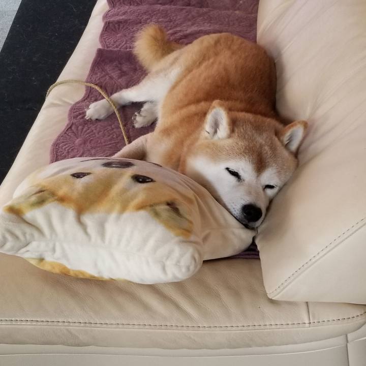 73a7fca2 5d13 4243 a000 dbba8066e029 1697152252154