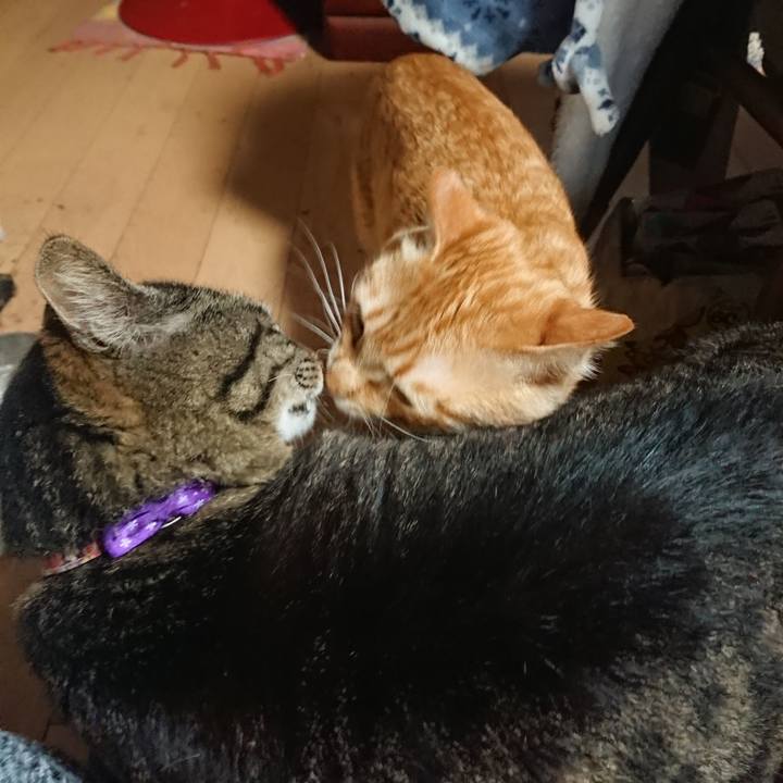 73a81de0 90ec 474d 9675 9367c95b6435 1649109376407