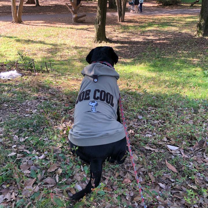 73a832b4 13bd 49a8 91a5 f1c9f70493dd 1605497758122