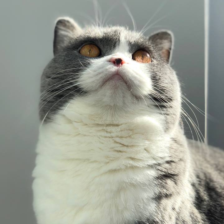 73a84900 b7a3 4ee9 9cf6 19fb597d60d7 1512785127894