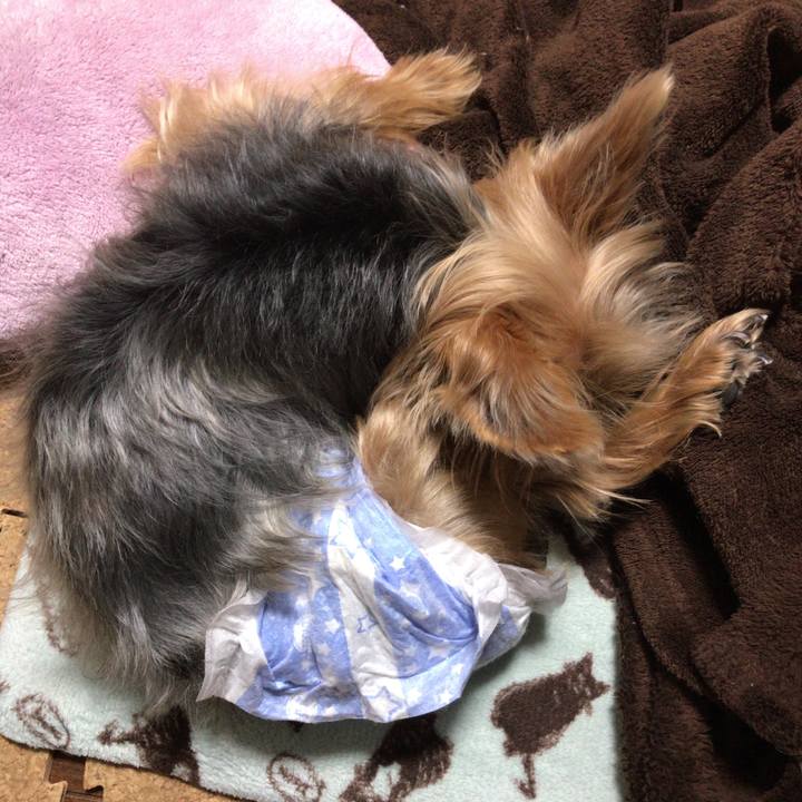 73a853a8 3207 46dc 9c7d 3839d3ac515c 1511063953119