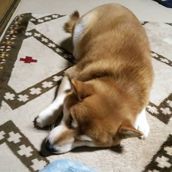 73a8586f e63a 43b2 87aa cd8d62ed5e85 1574238935073