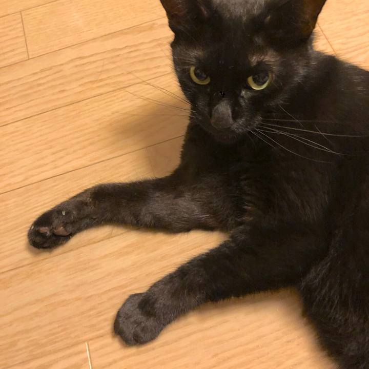 73a8a500 e158 4747 8504 e08b8f7e2881 1563718332045