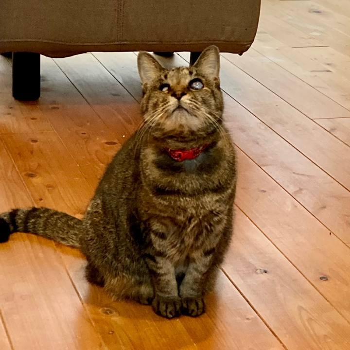 73a8ba21 59b9 463a 9e4f df4ad58d8161 1644552041824