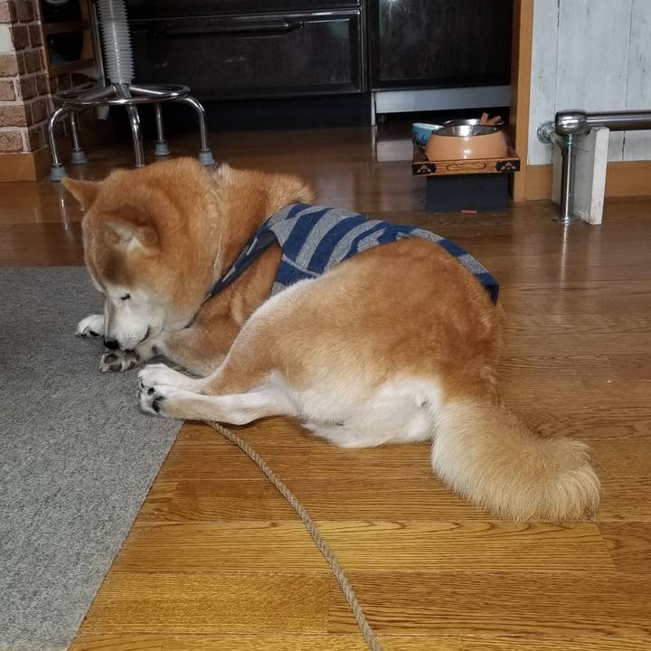 73a8c6ea 83be 4780 a08e 639f20069ab6 1671236349241