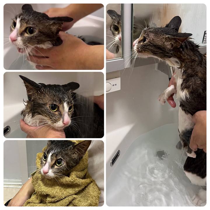 73a93623 857f 4abb b3fa beec25805a1a 1702794546464