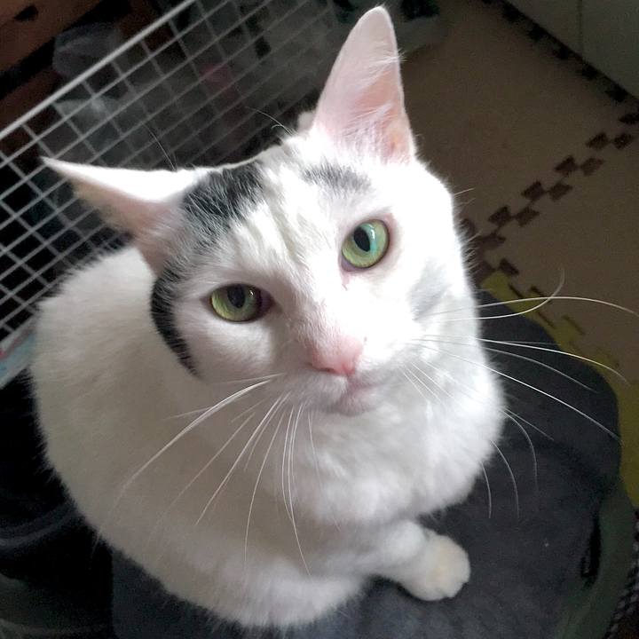 73a93d91 2622 4c2d a868 1f29d4cf895a 1592643342469