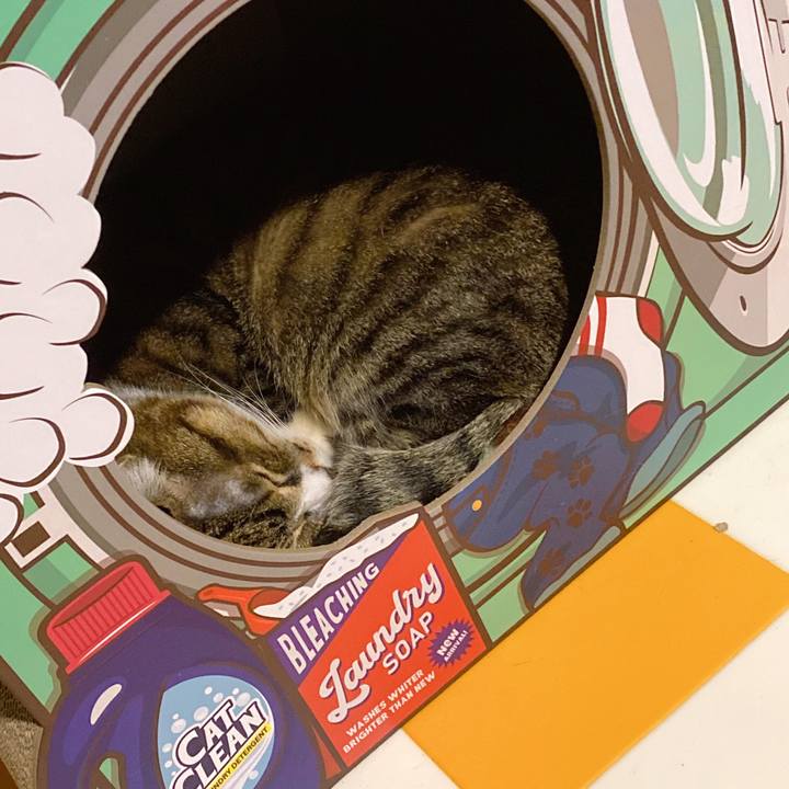 73a95012 903d 4a29 8ad7 514254021543 1698057714138