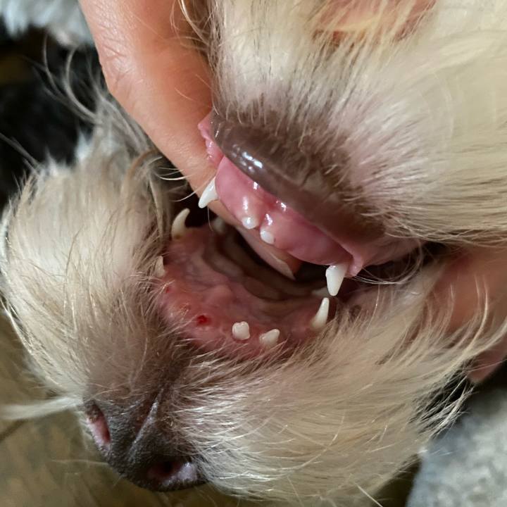 73a956a7 0d90 46fe b7d4 02be163c125d 1612445125896