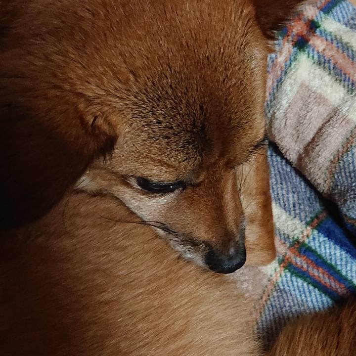 73a9c566 9e93 4a0d bbde de90ff9cb53a 1573818015036