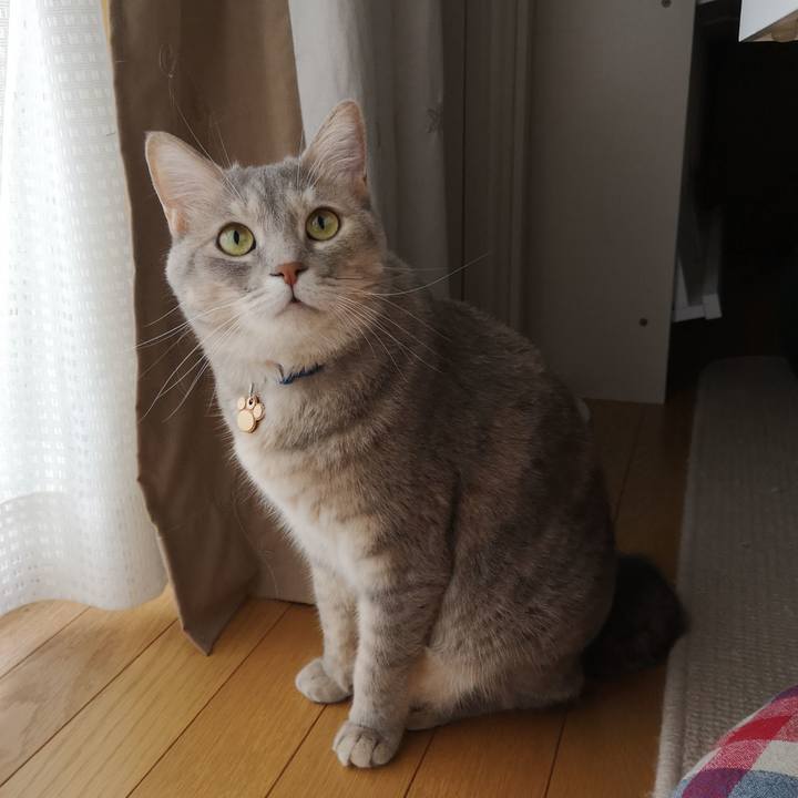 73a9ddef b9cf 4ae2 b6a6 cd87c2377347 1569547462581