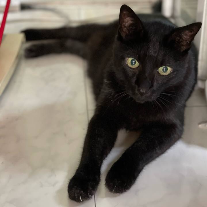 73a9e967 2cc3 4e50 a724 0de437176762 1662864292567