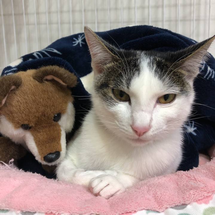 73aa21a7 b1a6 417f 8183 d4ef492dbc12 1576150917252