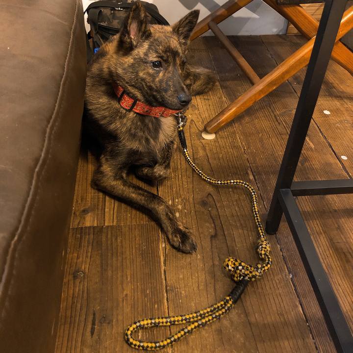 73aa2d64 d49c 4f0e a9de d0295b6bcf35 1579422426371