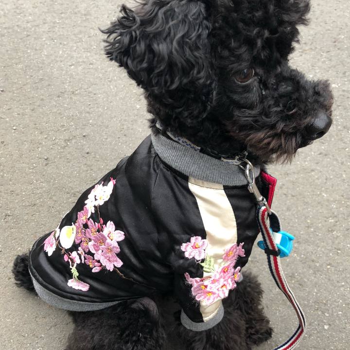 73aa6ed3 8b73 4671 b975 31c689843f36 1551778986841