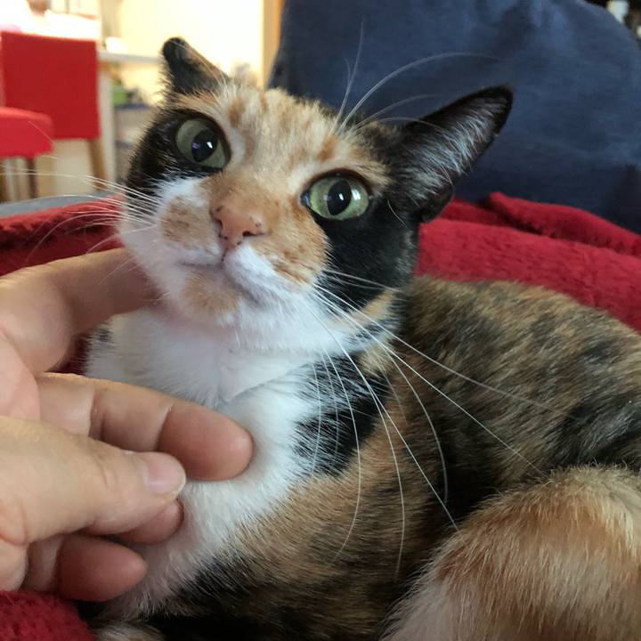 73aa8ef8 5a31 4e5e 90a2 69840ff8d8d1 1526040088325