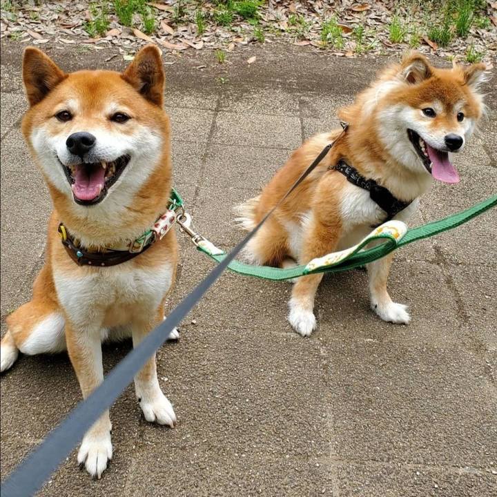 73aa9cbf 170f 43d3 80f2 c0fa49ea4c5a 1622445535434