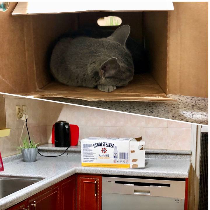 73aab156 f1cd 4d3f ac8f a86a6544bfda 1624456373709