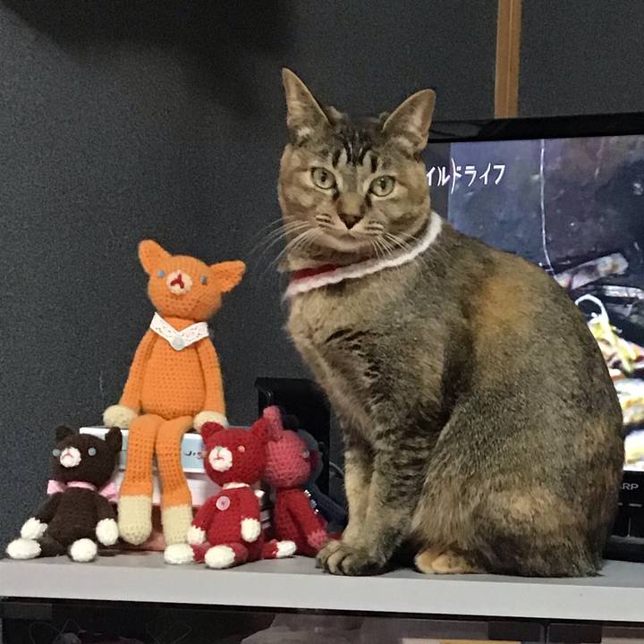 73aabfbf dc1b 4872 a5a4 9b3993940c4b 1610927385172