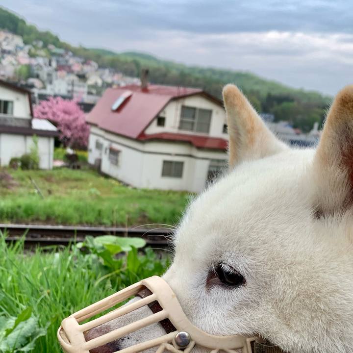 73aacd2d 64cf 45ee 9a0a 1d3b182aede4 1652389596648