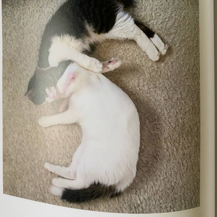 73aae446 0824 4bda 9ea0 e1966699ff85 1663798826908