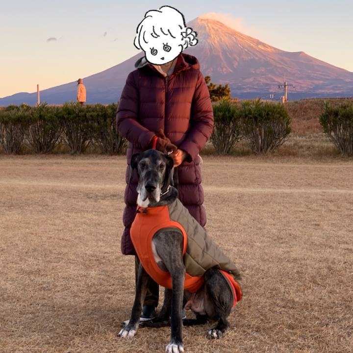 73ab026d 05f8 4707 b6d2 7f9cba105a2e 1609554843757