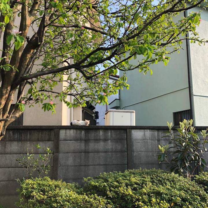 73ab1439 deab 40df ae91 7f0af1495502 1522831894806