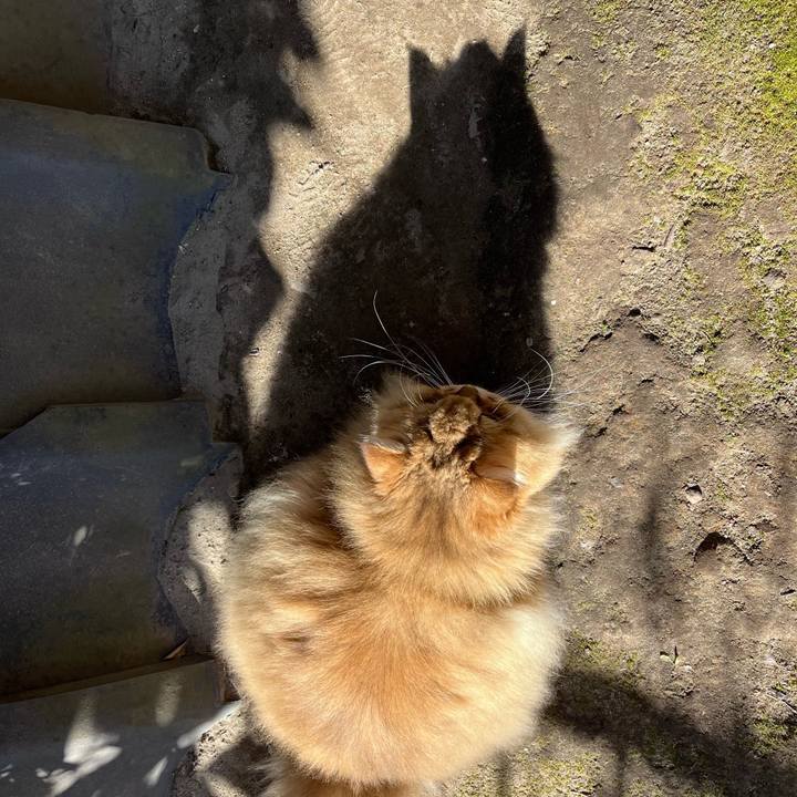 73ab1a5a e20a 42a6 8a4c f147da202d31 1673087572295