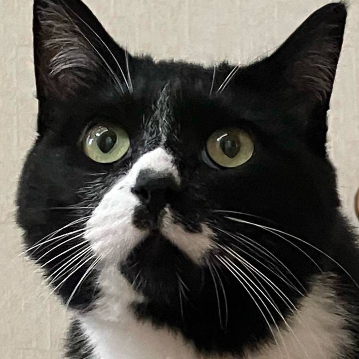 73ab58c8 48fe 483f b634 3d685aea7aa6 1762571156746