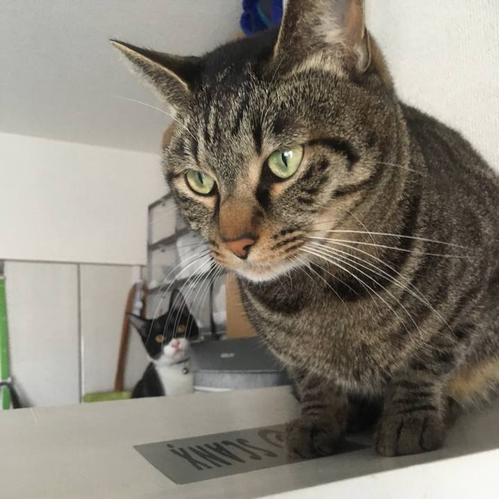 73ab6b01 e862 4693 85d3 8f905f2eda0b 1519270729069