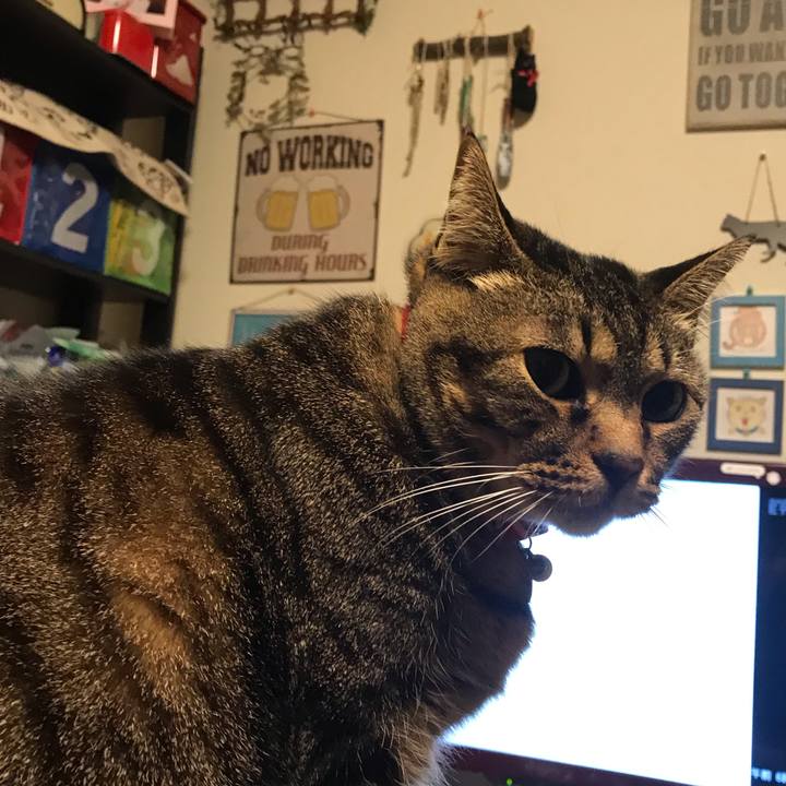 73ab8397 2c20 4f5f b6a0 0e05e808ffb3 1585404196566