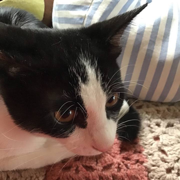 73ab9e47 89fe 417c 9958 85d53fb36359 1630469084309