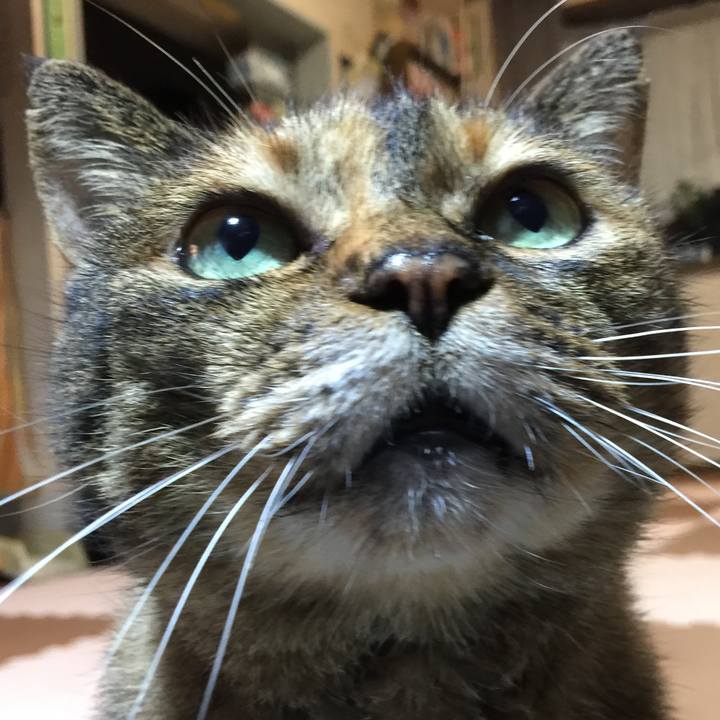 73aba791 993c 4f3c aa72 ca7f50ecfec0 1537789098138