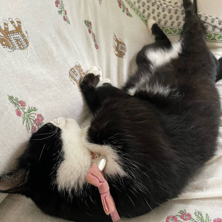 73aba7d3 c0e3 4211 a584 7925bd5f341e 1749941954196