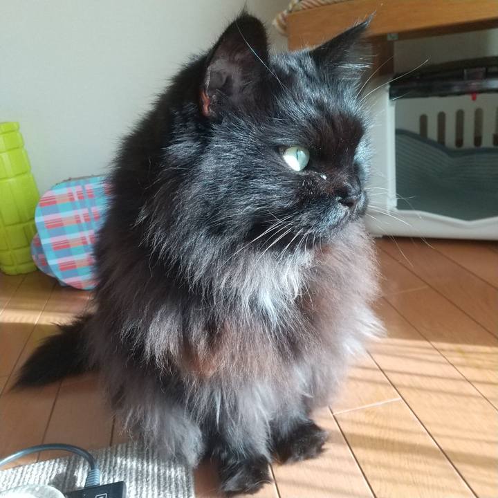 73aba929 d9ed 48f3 b39d 140836ce7c1d 1606294408515