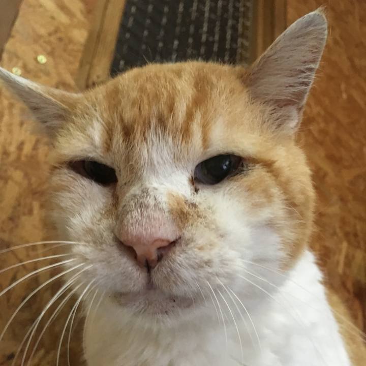 73abef23 e470 4046 b6d5 17d92ef4c3cb 1528878399286