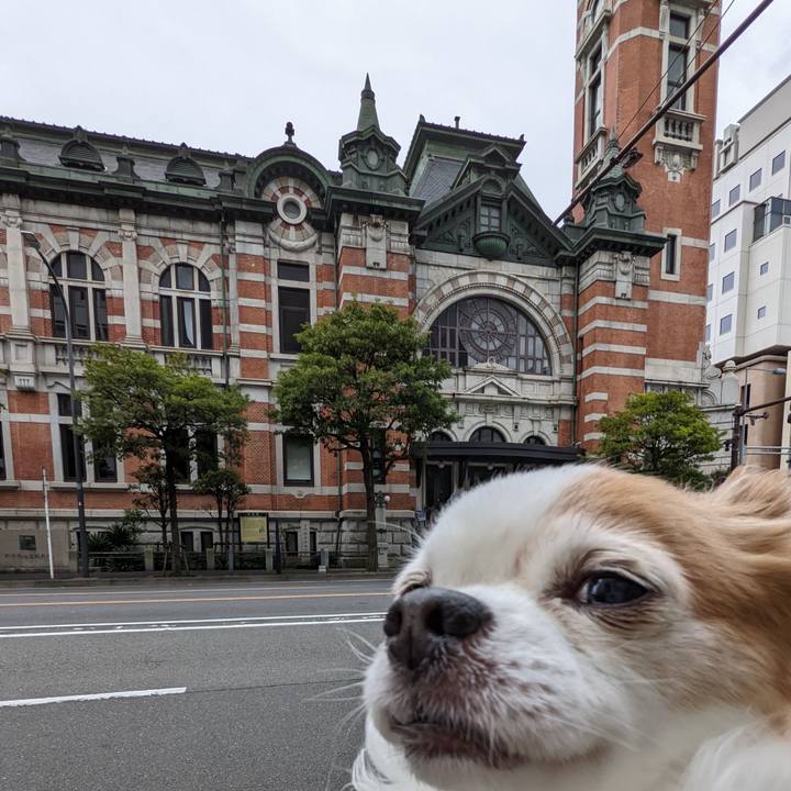 73abf5f1 266a 4145 b16a 7f0b9bba50d2 1648276988711