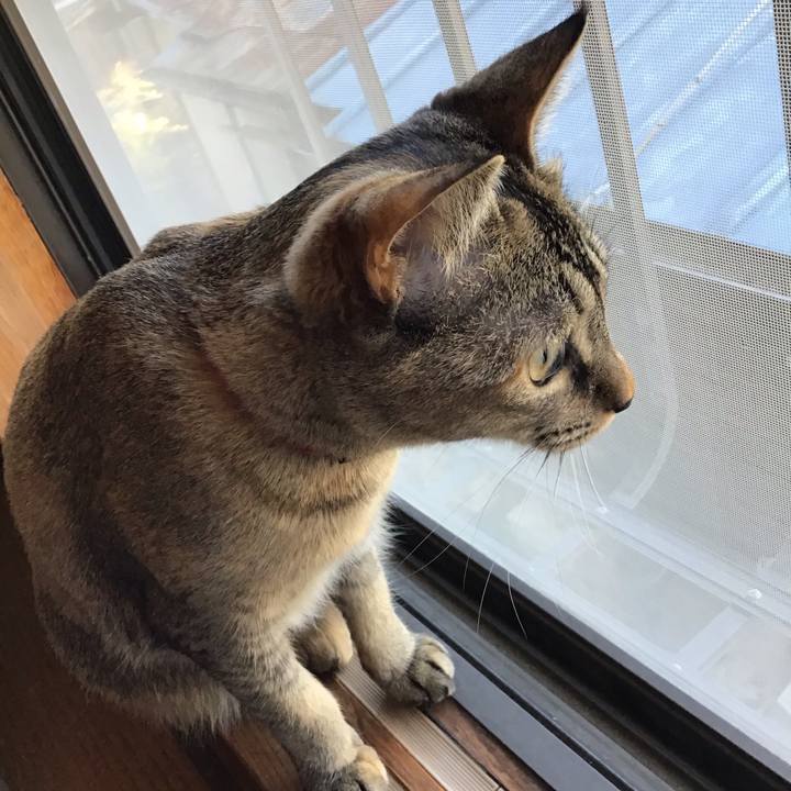 73ac0693 be15 4895 8ba0 bbe076de7321 1583912583507