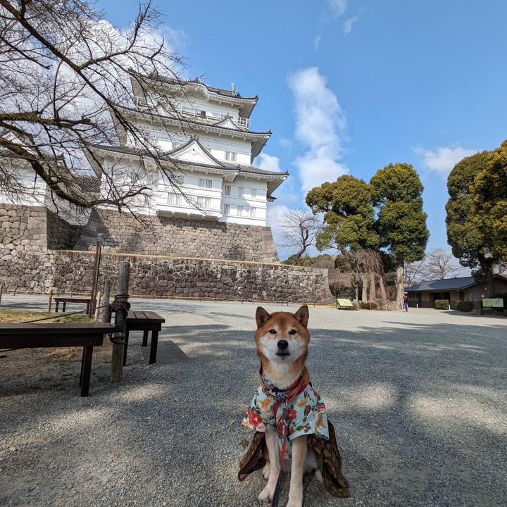 73ac284a 605b 40c5 858a c210c4c8f1b2 1710767084857