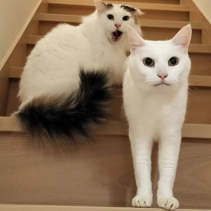 73ac2e41 fe6f 4ef4 bcc4 b6d00b29cdc1 1774441618554