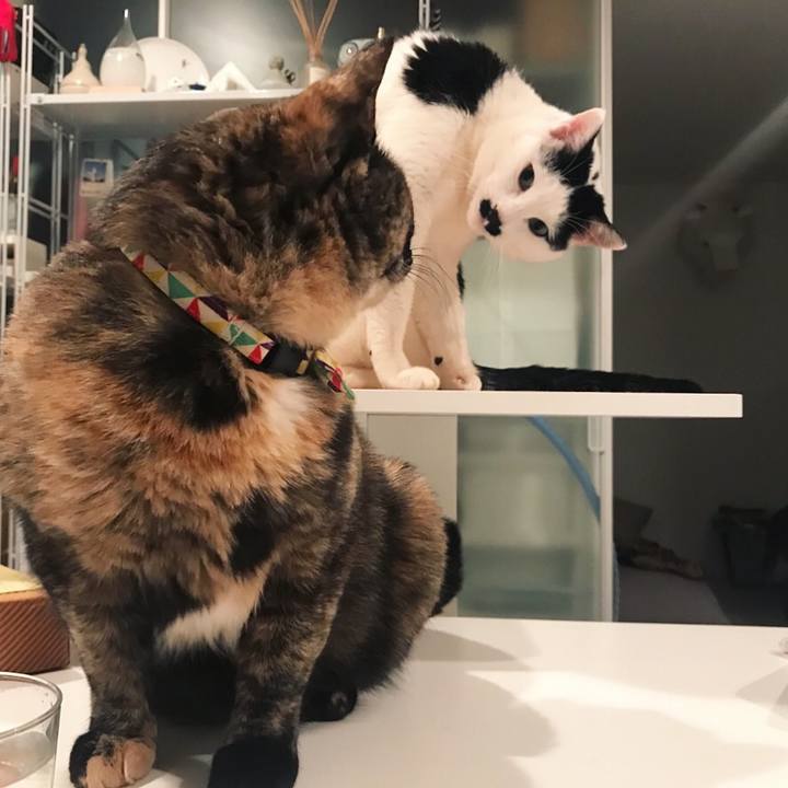 73ac4ba1 0ab3 46b0 8742 f3fba6148aec 1520583075406