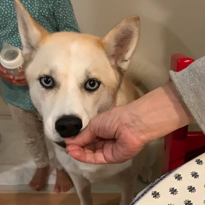 73ac5f85 ab62 4a46 910e f3ac12d6beef 1541756283572