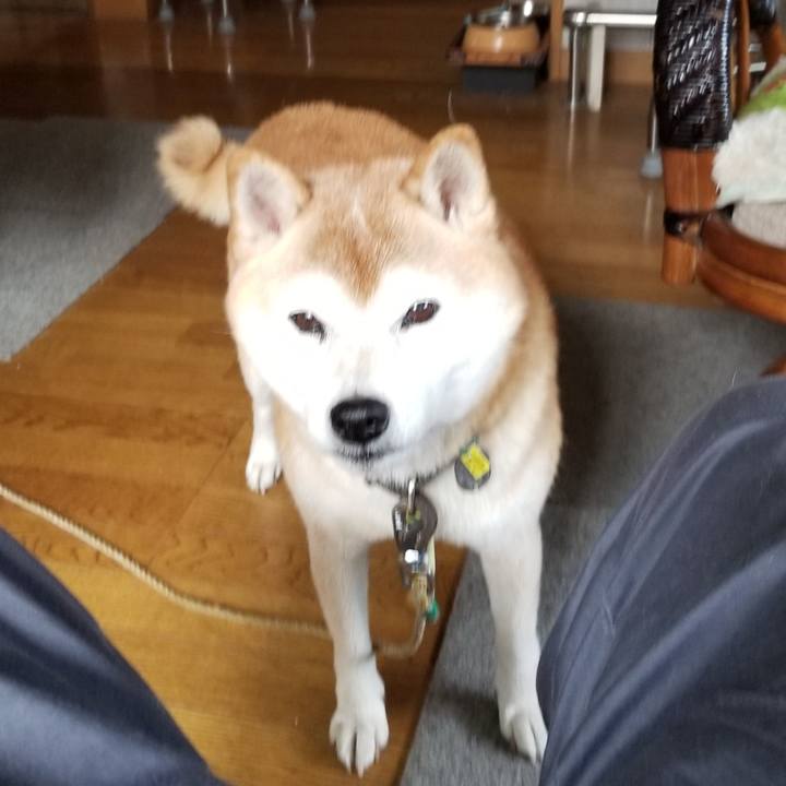 73ac815d 10b5 4aa1 8fca c539890e14b0 1665197445622