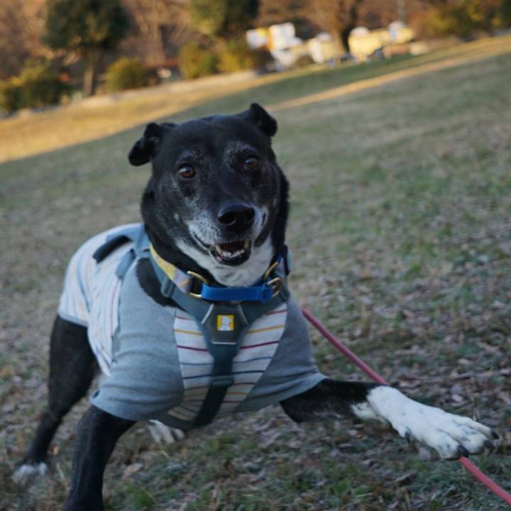 73ad1f16 e3cf 44cb ac3e 976eecf901bf 1768522586555