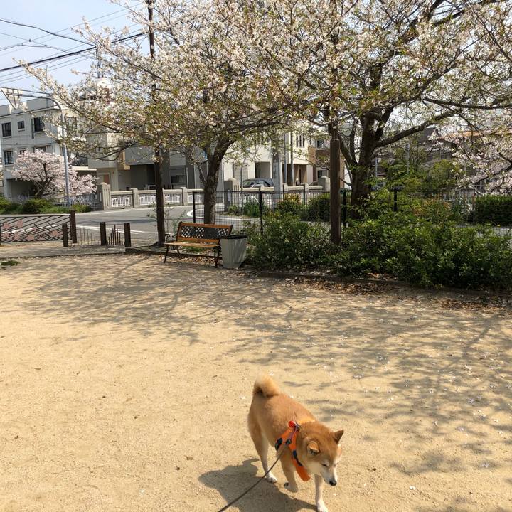 73ad23c1 7bd1 44dc a522 4dc5149864c1 1585980530493