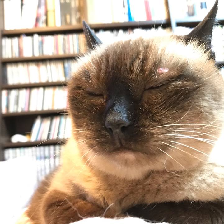 73ad3b69 f6d9 4f81 b462 e4b804b6e613 1595674855407