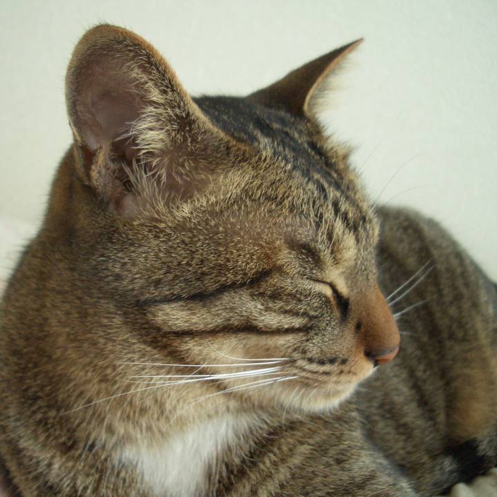 73adbf40 e5af 4e57 be14 9547e36bf308 1631080783249